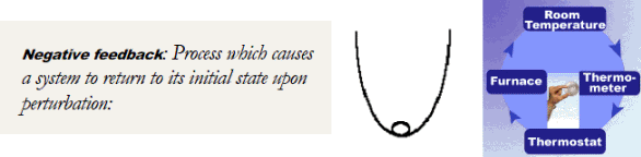 Negative Feedback