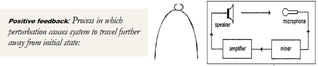Positive Feedback